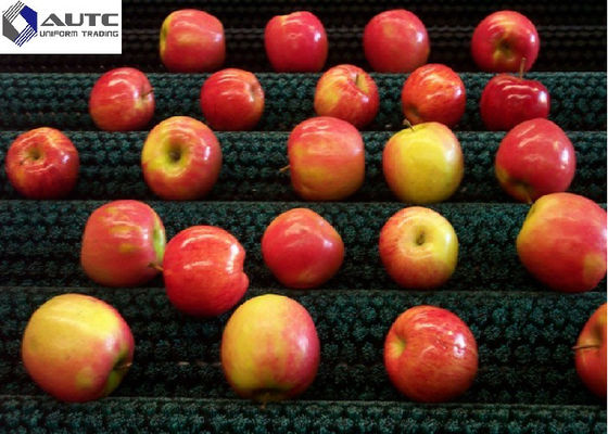 High Efficiency Cylindrical Roller For Fruit&Vegetable Cleaning Brush Galvanized Metal Yellow Green