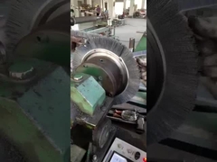 Sprial Rotary Inward Cleaning Inside Ring Inner SS đồng xoắn ốc vết thương cuộn bàn chải